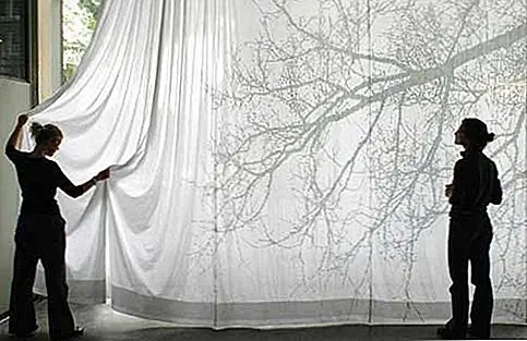 Объединяйте элементы из разных доменов и выбирайте занавеску для душа, которая больше, чем позволяет видеть на первый взгляд. Занавес для душа ASCII отличается прекрасным дизайном, вдохновленным природой, но при более внимательном рассмотрении также видно, что он был вдохновлен более чем тем.