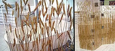 Окунитесь в занавески ржаной соломки, закройте глаза и представьте себя посреди природы. этот занавес на самом деле представляет собой трехсекционный экран из смолы и акрила, с помощью которого вы можете исследовать всевозможные формы и формы. Находится на месте.