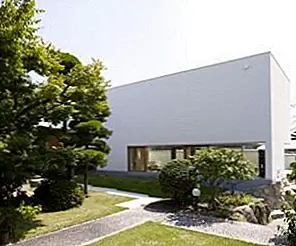 Стильное расширение с тремя повторно использованными деревьями от собственности