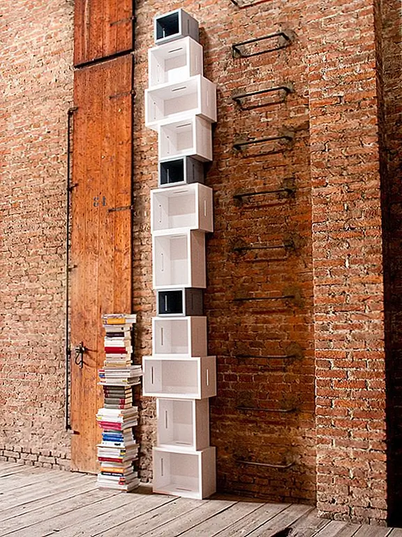 Красочный и забавный книжный шкаф в Колорадо