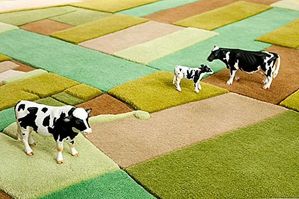 Пушистые и красочные Landcarpets для интерьеров с перспективой