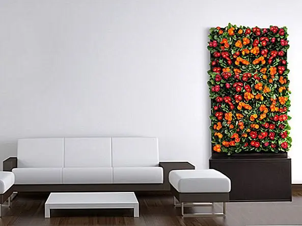 Как адаптировать комнатные растения к вашему декору: Smartwall