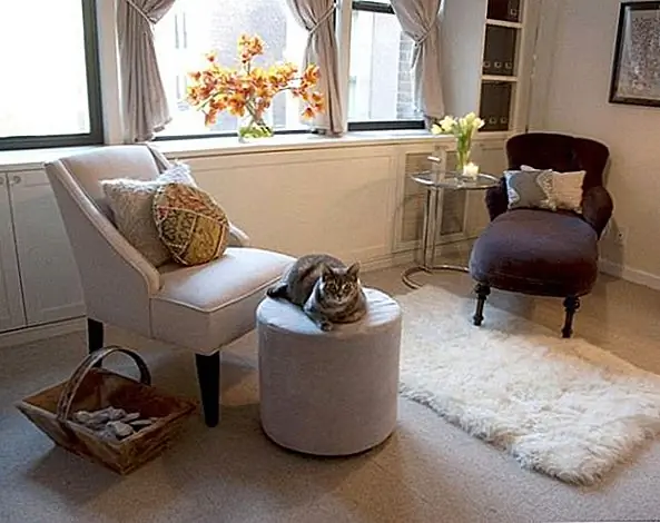 Интервью: Преследование мечты твоей мечты с Хилари Унгер