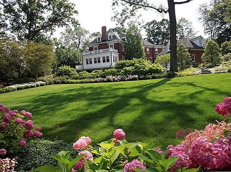 Самоходные косилки являются конечной энергосберегающей. Изображение: The Todd Group