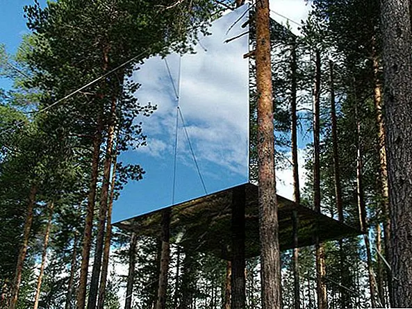 Новый «Treehotel» в Швеции с оригинальными дизайнами комнат