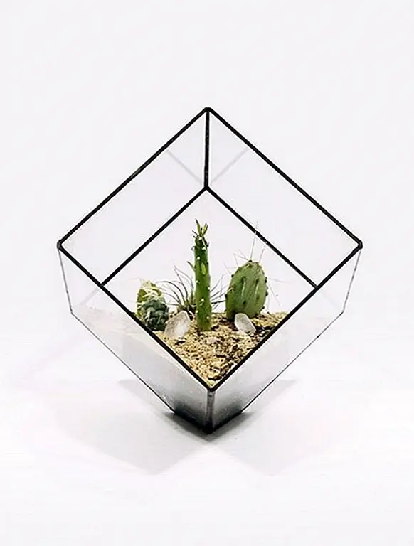 Скульптурные плантаторы для элегантных современных домов