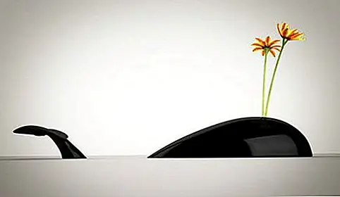 Двухсекционная цветочная ваза в форме кита