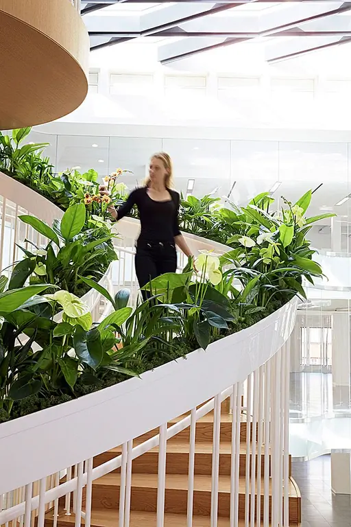 Лестница была построена из стального и американского белого дуба. Это было предусмотрено как освежающий элемент в офисе, наполненном технологиями. Лестница представляет собой естественную, низкотехнологичную структуру, которая добавляет всплеск цвета и свежий штрих ко всему офису. Кроме того, растения также помогают очищать воздух.
