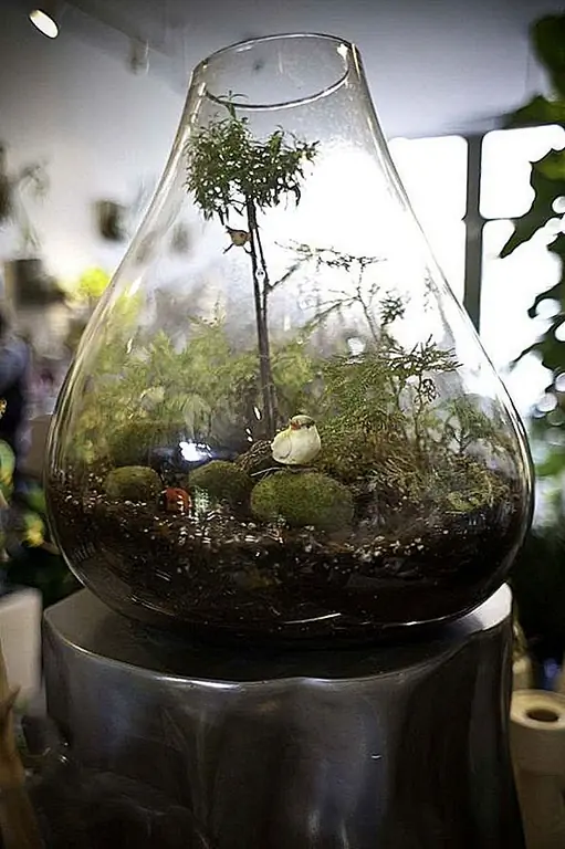 Земной шар похож на миниатюрный нетронутый мир, полный жизни и чистоты. Это будет ваш маленький кусочек неба, и вы будете смотреть с радостью и удивляться, как растения растут внутри вашего террариума. У вас будет мир в стеклянной миске, как антиквариат увидел мир в зерне росы. Доступно за 160 $.
