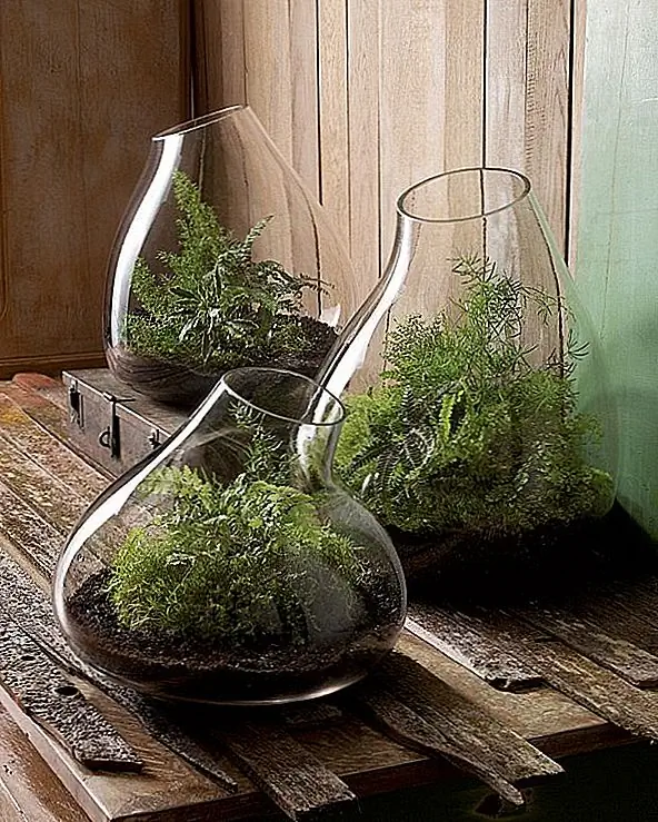 Удивительные переработанные стеклянные террариумы