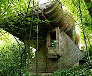 Стильный дом в лесу Портленда