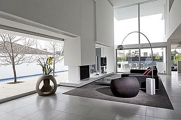 Нежный зоопланщик Хелен Контурис