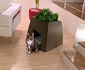 Современный плантатор для вас и удобный дом для вашего питомца