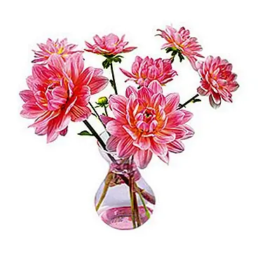 Если вы примените эти наклейки под названием «Плоские цветы» к вашему окну, они будут отлично смотреться как снаружи, так и снаружи. И поскольку они не используют клей, а сделаны из статического материала, вы можете очистить их и снова применить их в другом месте. И если вы еще не уверены, просто взгляните на эти фотографии, и вы увидите, насколько хороши эти плоские цветы и насколько весёлая комната, в которой они используются. О, у вас может быть каждый предмет за $ 15, и вы можете выбрать свой любимый дизайн здесь.