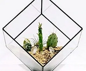 Посадочные машины из кубика из лука + пайка