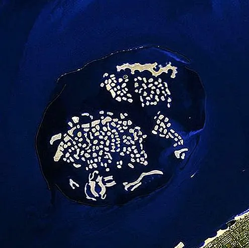 На нижней палубе острова будет открытая гостиная, бассейн и столовая с баром. Верхний уровень будет содержать частные помещения, такие как пять спален и зона отдыха. Кроме того, дизайн можно настроить, а комнаты можно удалить или добавить в структуру острова. Стоимость таких, как остров, оценивается в 20 миллионов долларов. Это звучит как много денег, но на самом деле это очень удобное приобретение, если мы сравним его со стоимостью природного острова и всего, что предлагает Ome.