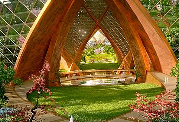 Эти впечатляющие башни будут иметь форму цветов лотоса, и они будут иметь вид диафана. Они предложили бы захватывающие виды на города под ними, в дополнение к великолепной обстановке прямо там, поверх них. Это очень интересное зрелище, очень футуристическое и прозорливое, и было бы неплохо жить, чтобы увидеть, как это стало реальностью.