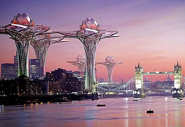 Концепция «Город в небе» от Hrama