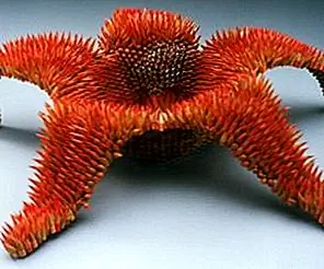 Эффектные скульптуры из карандашей