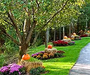 Вдохновение Хэллоуина: 5 простых и недорогих украшающих идей