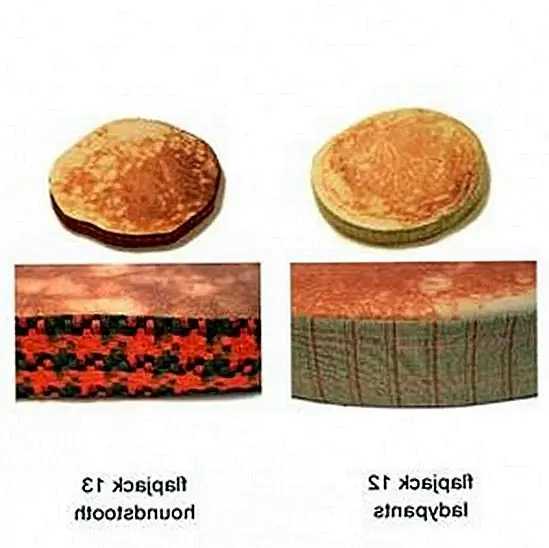 Дети будут обожать их, и вы будете думать все время вкусных блинов, которые делают ваш день слаще, когда вы видите их в доме. Доступно здесь.