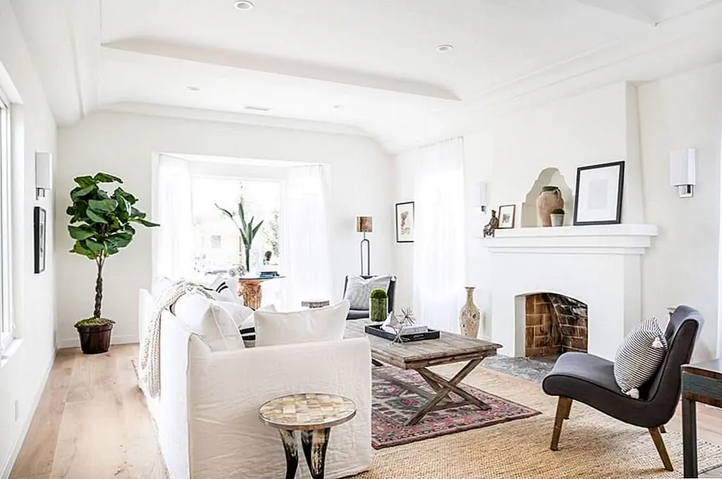 Большие растения добавляют естественный акцент в любую комнату. Изображение: Thomas Towne Reavey