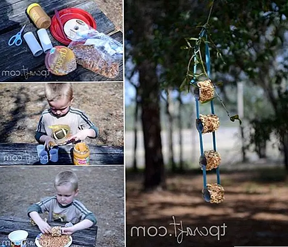 Когда приходит весна, одна из самых красивых вещей - это возвращение всех птиц. Если вы хотите дать им приятный прием, то удивите их прекрасным фидером. Вы можете сделать это с помощью рулонов туалетной бумаги. Вам также понадобится нож, арахисовое масло, лента или шпагат и семена птиц. Разрежьте рулоны пополам и распределите на них арахисовое масло. Сверните трубки в зерновых, а затем в семенах птиц, завяжите руны вместе и повесьте их на дереве. {Найден на tpcraft}.