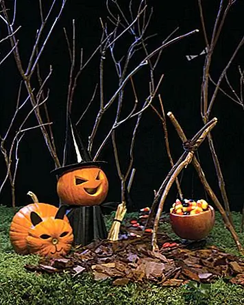 Какая страшная ведьма без ее кошки? Мы не знаем, но то, что мы знаем, это то, что он отлично подходит для развлечения! Следуйте этой веселой DIY, чтобы сделать что-то подобное в вашем переднем дворе.