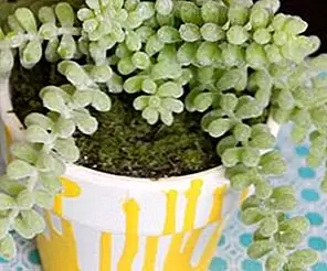 Как сделать легкие лаки и валики для капель краски