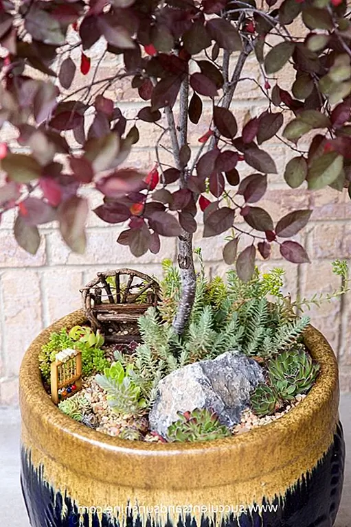 Если вы любитель растений, у вас, вероятно, уже есть горшок суккулентов. Просто добавьте крошечную мебель и акценты, и у вас есть волшебный волшебный сад. Это не могло быть проще. (через суккуленты и солнце)
