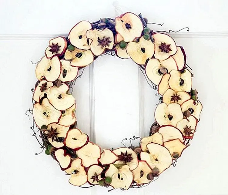 Я не знаю о вас, но использование сухофруктов в осеннем декоре не перешло мне в голову. Это имеет смысл! Яблоки находятся в изобилии в это время года, поэтому использование некоторых высушенных кусочков может дать вам не только красивый и уникальный венок, но и вкусную закуску! (через Л. Мишель)