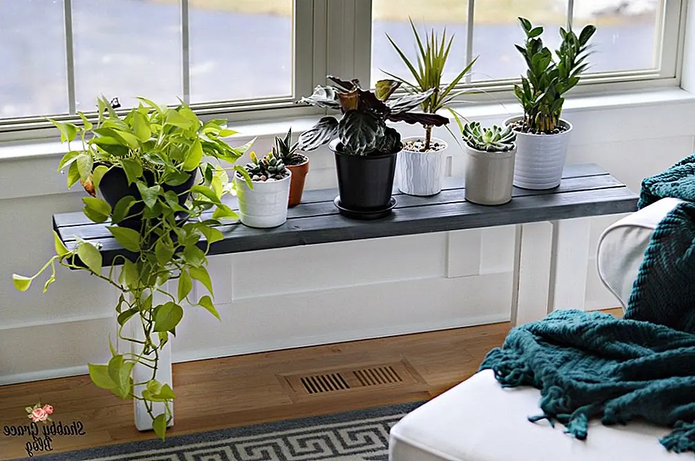 Ищете что-то простое и страстное? Постройте узкую скамью, которую вы можете разместить перед своим окном. Мало того, что он будет держать ваши растения в деревенском стиле, он будет выступать в качестве бокового стола для идеального укромного чтения. (через Потертую Грейс)