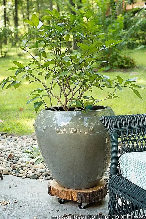 Многие растения нужно перемещать в зависимости от времени года и света. Для ваших больших растений, поставьте несколько колес на кусочек дерева, и у вас будет мгновенная подставка для растений, которая легко перемещается из окна в окно. (через Bigger Than the Three Of Us)