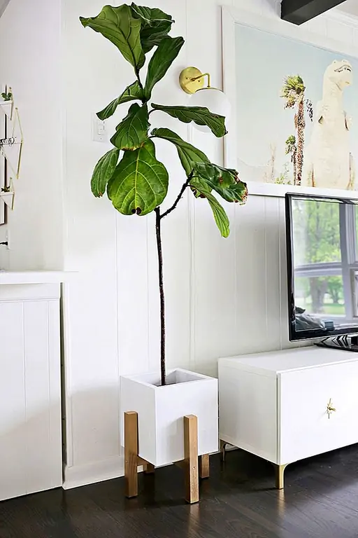 Если вы участвуете в скандинавском оформлении, вы, вероятно, видели растения, подобные этому, плавающие вокруг ваших плат Pinterest. Теперь вы можете сделать это самостоятельно за половину цены покупки. Это победа для вас и ваших растений. (через красивый беспорядок)