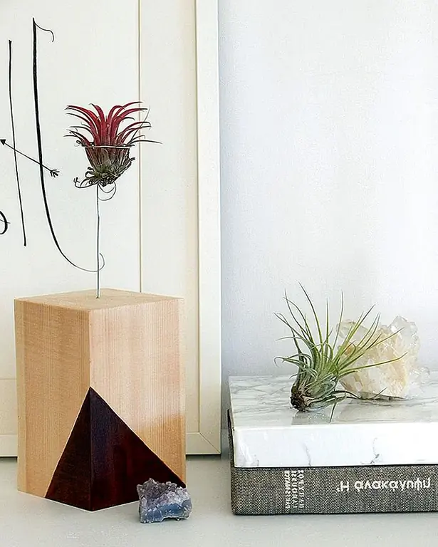 Воздушные заводы, возможно, являются самым простым домашним заводом, чтобы позаботиться о том, чтобы они соответствовали самым легким заводу завода DIY. Кроме того, вы можете персонализировать этот стиль с цветом и стилем, который вы используете для рисования дерева. Покройте его в сердцах. Добавьте свои инициалы. Нарисуйте его неоновым розовым. Независимо от вашего стиля. (через Департамент защиты)