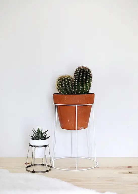 Бережливый проект - это реализованный проект. Посмотрите на ламповые оттенки в местном магазине, где вы можете проложить провод, покрасить и использовать в качестве подставки для растений. Вы можете сделать это буквально через день. (через Merrythought)