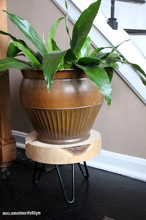 Мне всегда нравился вид шпильки. Используя их на кусочке дерева, вы можете одновременно создать современный и деревенский дизайн растений. (через «Моя жизнь из дома»)