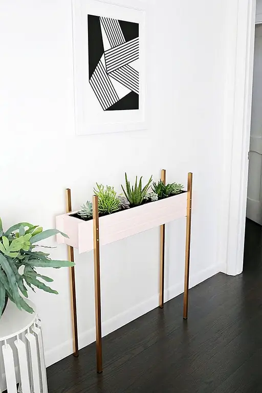 Есть ли место в вашем доме, где вы хотели бы поместить зелень, но у вас нет комнаты? Сделай это узкое растение, чтобы придать жизни свой коридор, фойе или где бы вы ни думали, что нет места. (через красивый беспорядок)