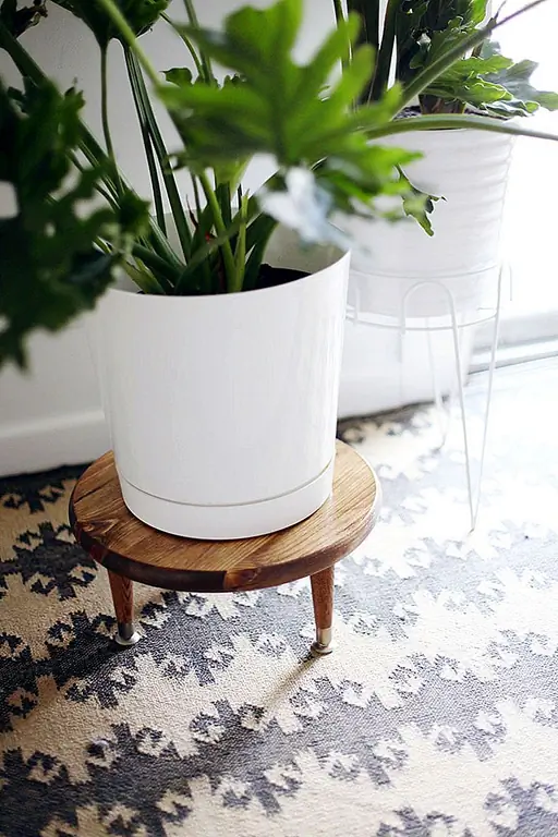 Это растение, вероятно, то, о чем вы думаете, когда думаете о растительности. Дизайн с низким табуретом идеально подходит для поднятия больших листов чуть выше. (через красивый беспорядок)