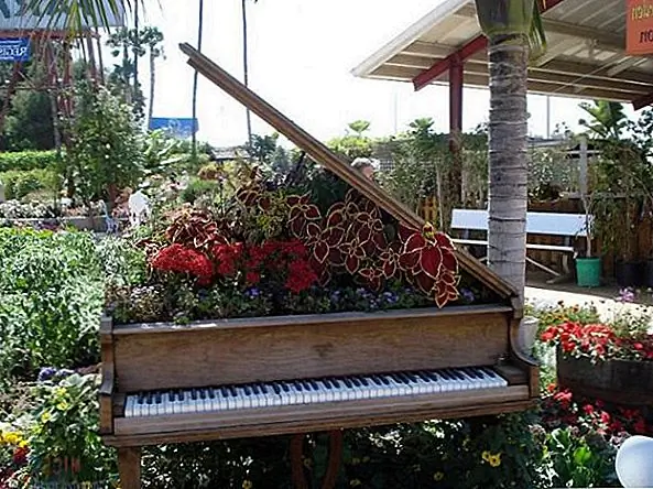 Вам решать, где и как организовать растения внутри перепрофилированного фортепиано. Симпатичная идея заключается в том, чтобы между ключами возникала свежая трава. Конечно, это также зависит от типа вашего фортепиано, его состояния, размера и т. Д.