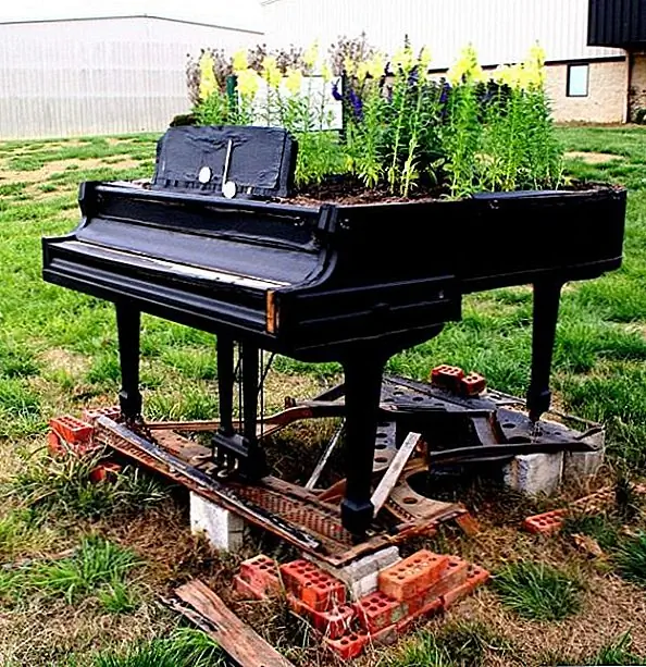 Попросите свою новую рояльную плантацию где-то красивую, например, под большим деревом или прудом. Это сделало бы уникальный акцент и фокус для сада, и вы можете занять там кресло и время от времени садиться, расслабляться и медитировать.