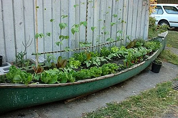 Старое каноэ также может сделать красивую плантацию для сада. Все, что вам нужно сделать, это найти подходящее место для этого, добавить почву и растения и насладиться новым фокусом.