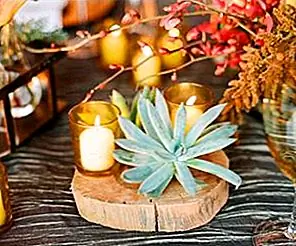 30 праздничных идей декора декоративного стола!