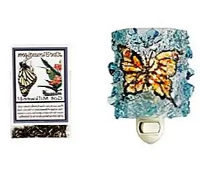 Переработанный стеклянный ночной свет монарха