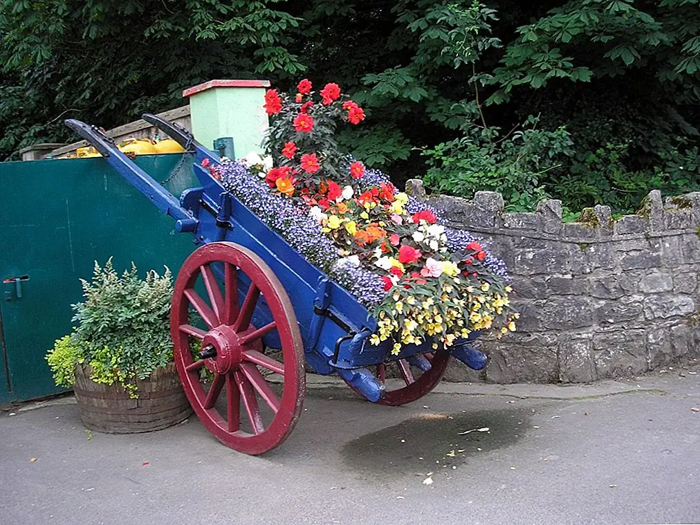 И, говоря о странных и необычных проектах, вот старый ирландский пони и ловушка превратились в красивую плантатор. Это то, что вы можете показать в саду или во дворе. Вы можете настроить тележку так, как вы хотите, чтобы она выглядела более интересной. Немного краски проходит долгий путь.