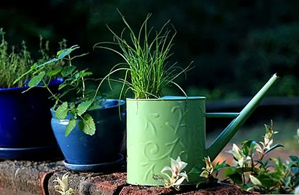 Прохладные посадочные машины, изготовленные из необычных переработанных объектов