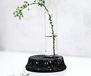 Одноразовая ваза DIY