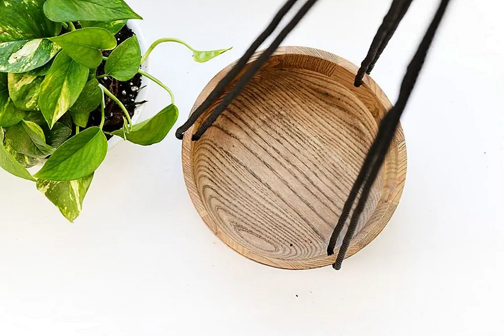 5. Поместите растение в миску (желательно пластик, керамику или стакан, чтобы держать воду и почву хорошо, чтобы древесина не сгнила) и положить ее в деревянную миску. Вытяните веревку и повесьте на крючок.