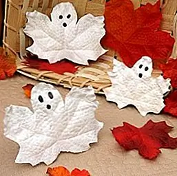 Первое, что приходит на ум, когда думаешь о падении, - Хэллоуин. Жужжание, страшное и забавное являются основными определяющими характеристиками этого праздника, но другие могут быть добавлены на основе личного опыта. Вы можете добавить немного осеннего аромата в свой дом и в то же время сохранить дух Хэллоуина живым с помощью простого проекта DIY. Сделайте жуткий лист призраков и используйте их, чтобы украсить стены, камин, стол и т. Д., Сначала собрать листья. Затем очистите их и нарисуйте их белыми. Последний штрих - это рисование граней на них черным маркером.