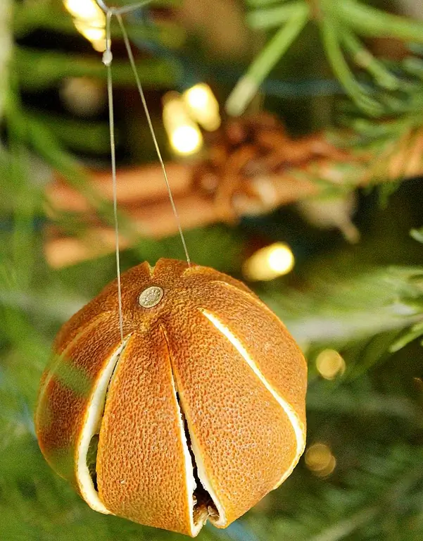 Найдите учебник для сухих цельных оранжевых шариков.